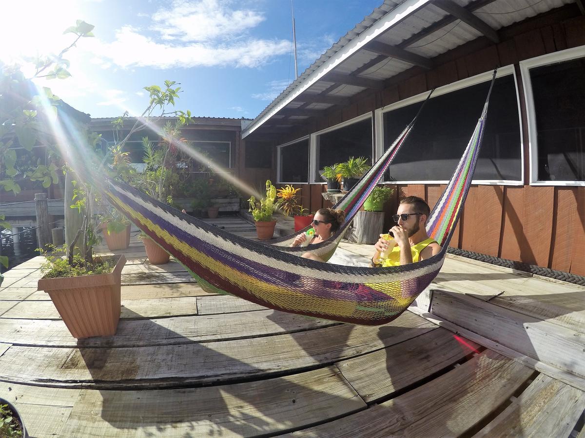 Utila Lodge Exteriör bild